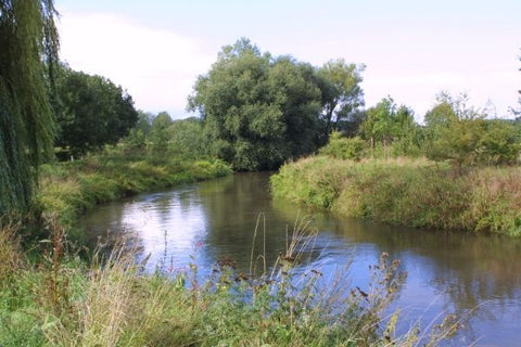 VVV wandeling Herkenbosch - Langs de Roer - 28 juni 2026