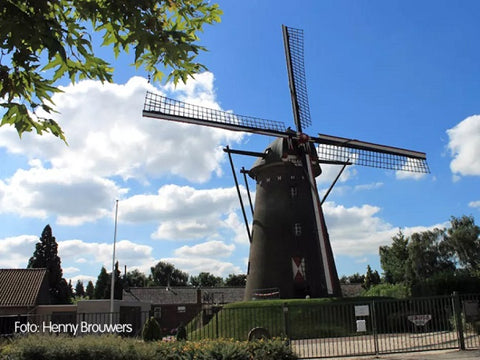 VVV Themawandeling Maasbracht: Wind en Water - 19 november 2023