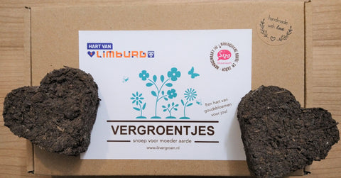Blumenpfosten - Gemüse im Karton - 6 Stück (Bio-Erde) mit Blumensamen